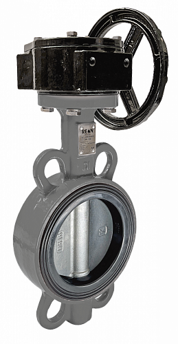 Дисковый поворотный затвор с редуктором REON тип RSV78 DN 50