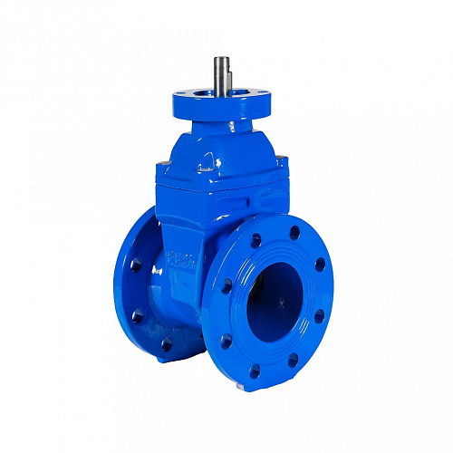 Задвижка чугунная с обрезиненным клином REON тип RSV02 с голым штоком и фланцем ISO 5210 (ISO 5211)  DN 50 PN10/16