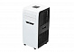 Мобильный кондиционер Electrolux Manhattan EACM-09 FM/N3