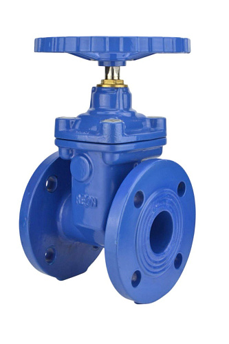 Задвижка чугунная с обрезиненным клином REON тип RSV04-T DN 125 (RAL 5000)
