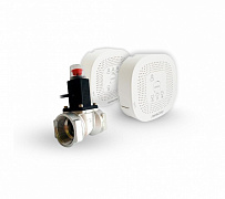 Сигнализатор загазованности 1/2" (Ду15)  «Пульсар» CO-CH энергозависимый c клапаном