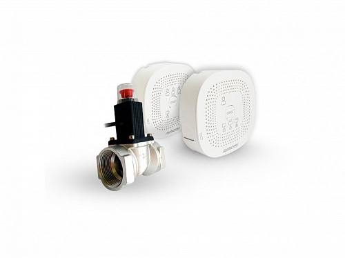 Сигнализатор загазованности 3/4" (Ду20)  «Пульсар» CO-CH энергозависимый c клапаном